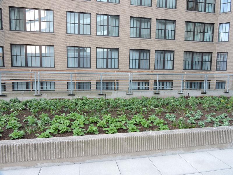 Macy's Corporate Plaza Restoration 