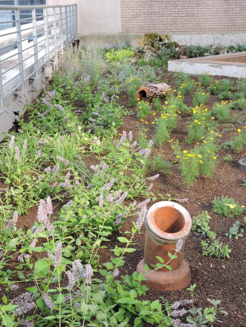 Macy's Corporate Plaza Restoration 