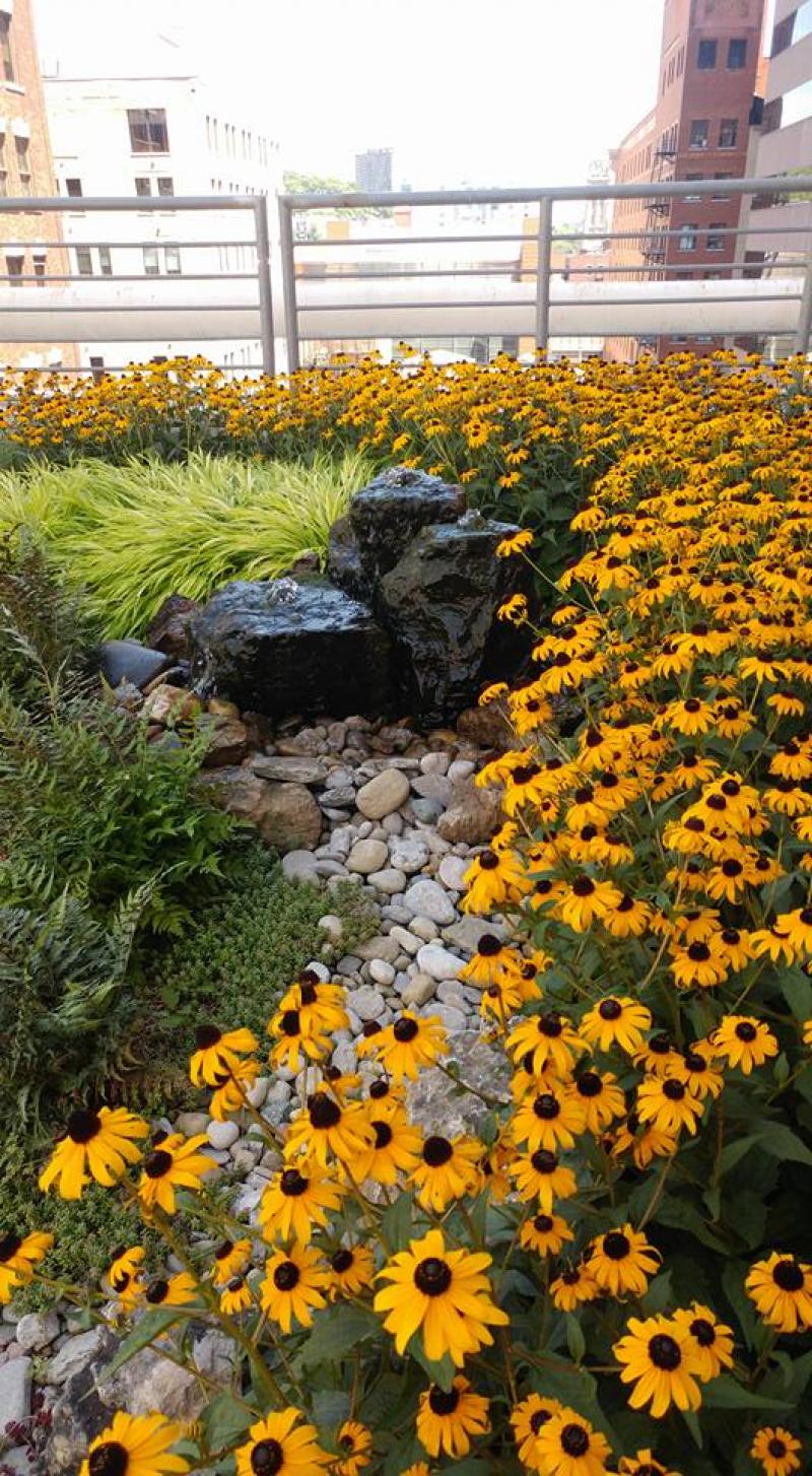 Macy's Corporate Plaza Restoration 