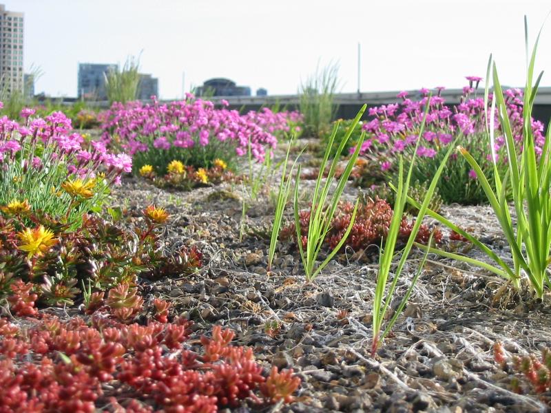 Chicago Transit Authority Headquarters