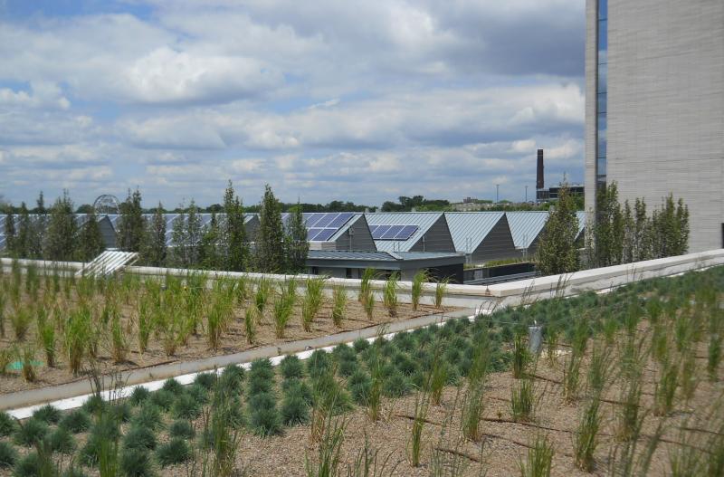 University of Chicago - David Logan Art Center 