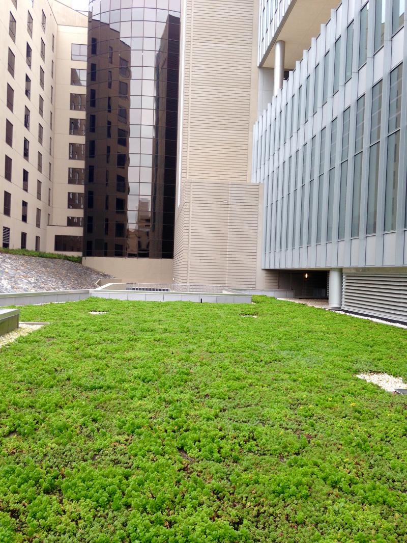 Duke Dietary Services