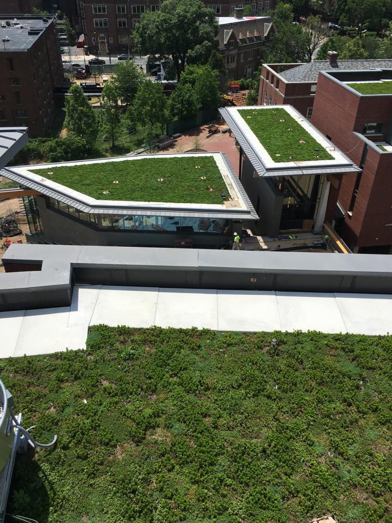 University of Pennsylvania - New College House