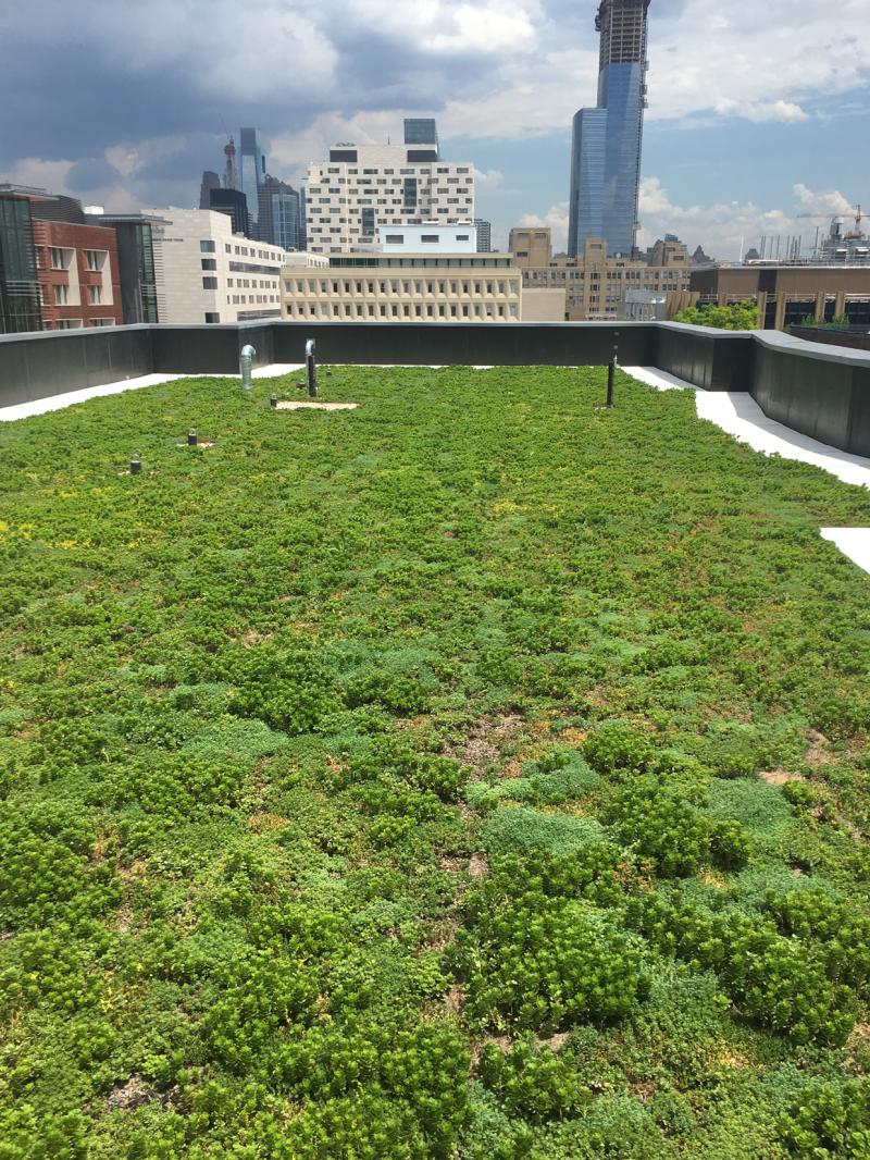 University of Pennsylvania - New College House