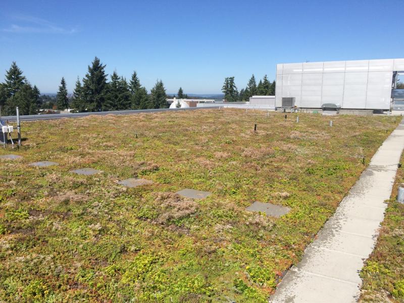 Bellevue College Health Sciences Building