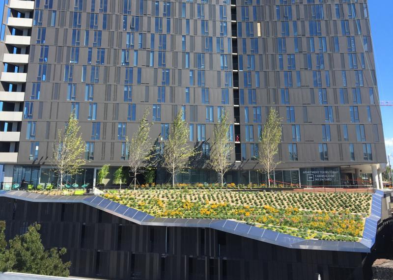 Burnside Bridgehead Block 67