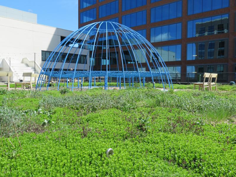 Ace Hotel - 311 N. Morgan