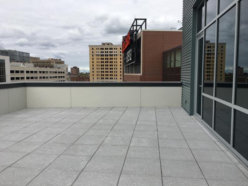 Detroit Red Wings Stadium