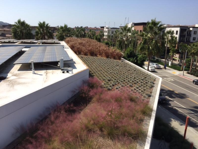 Playa Vista Community Center