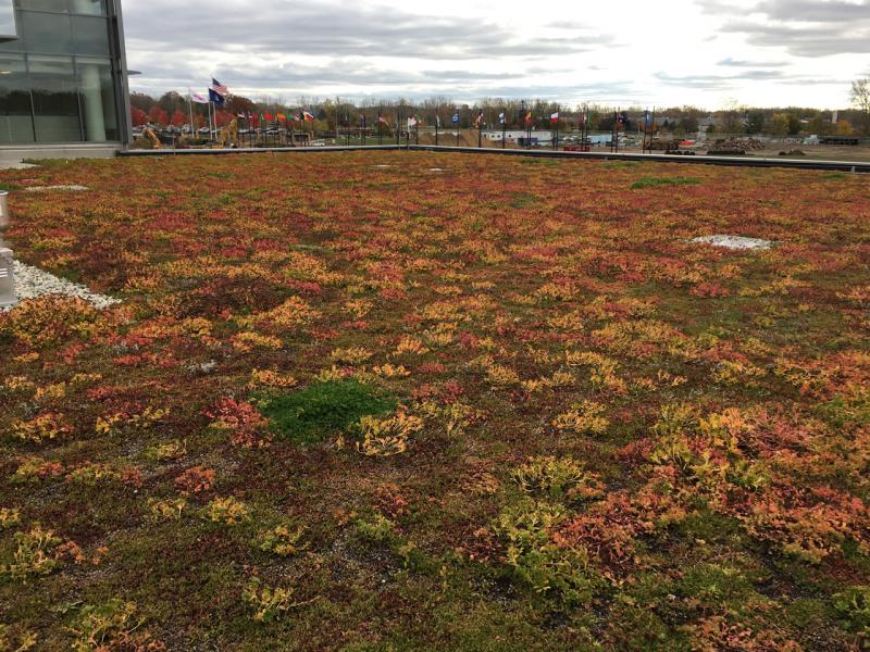 Dow Corporate Center Headquarters