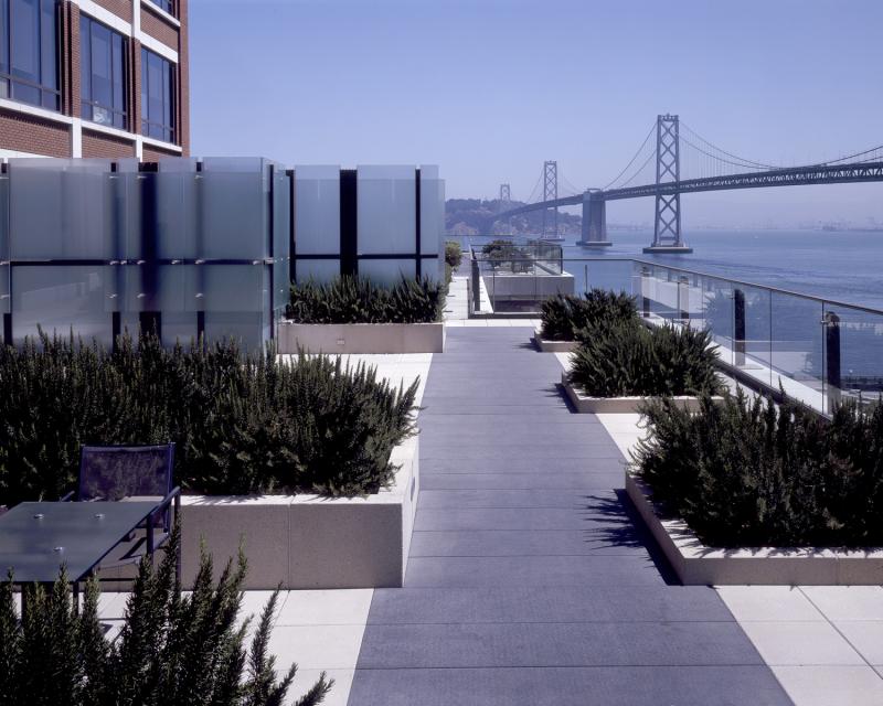 Gap, Inc. Headquarters