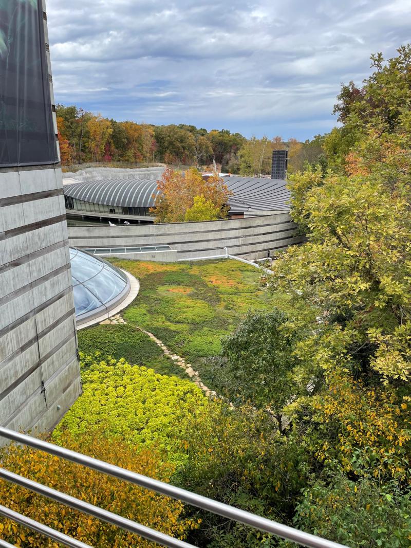 Crystal Bridges Museum 