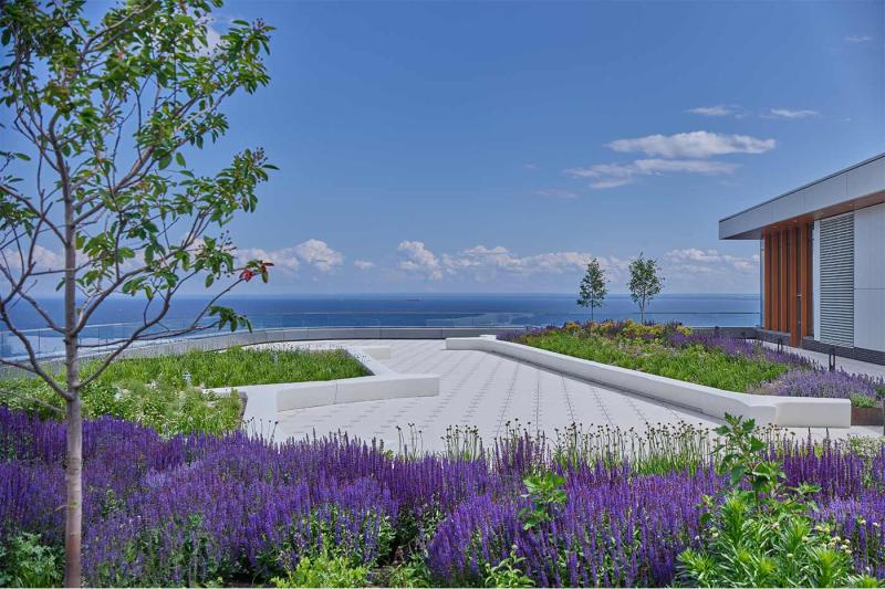 St. Mary’s Medical Center - Essentia Health