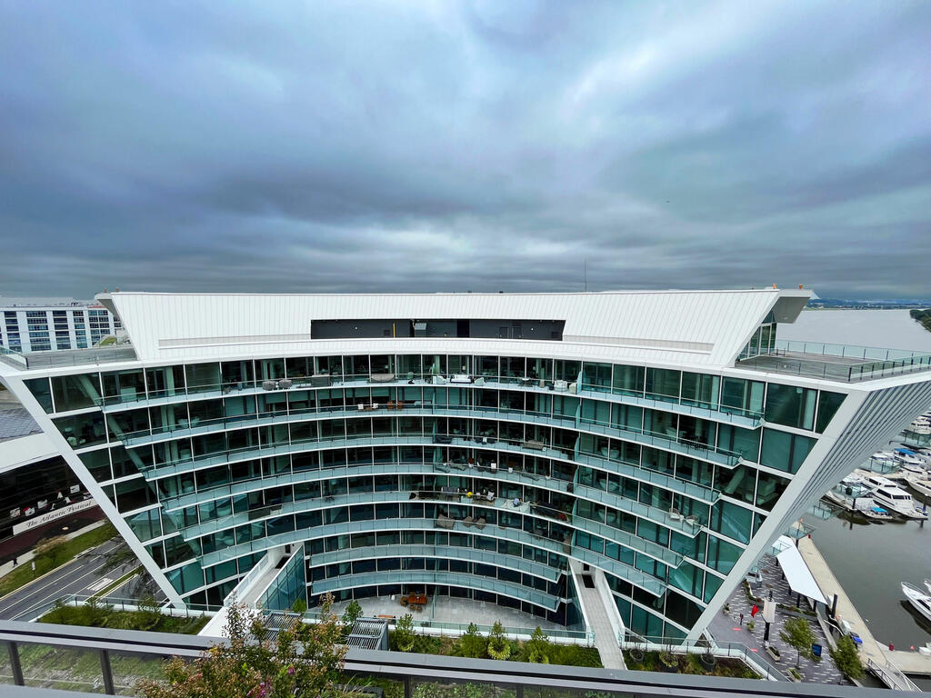 vegetated roof, green roof, amenity deck