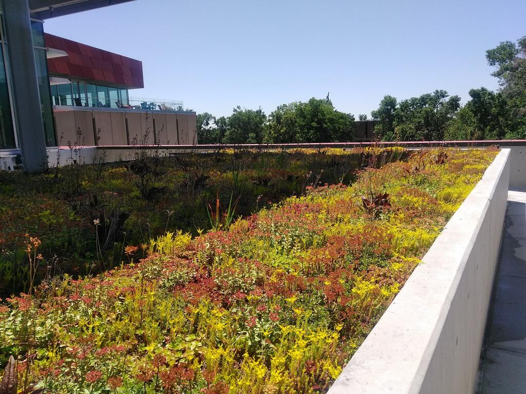 Colorado College Tutt Library