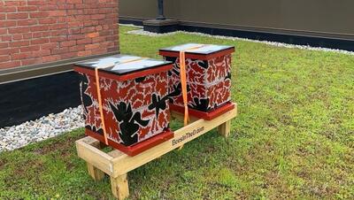 Images courtesy of Inhabitect