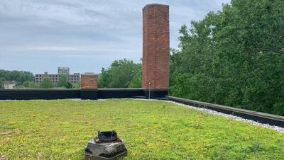 Images courtesy of Inhabitect