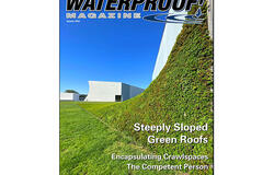 vegetated roof, green roof, amenity deck